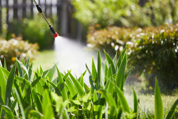 24/7 Emergency Mosquito Control experts in Grand Point, LA